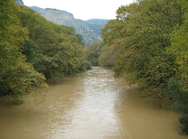 Δασολόγος, Τμήμα Περιβάλλοντος (Λάρισα),