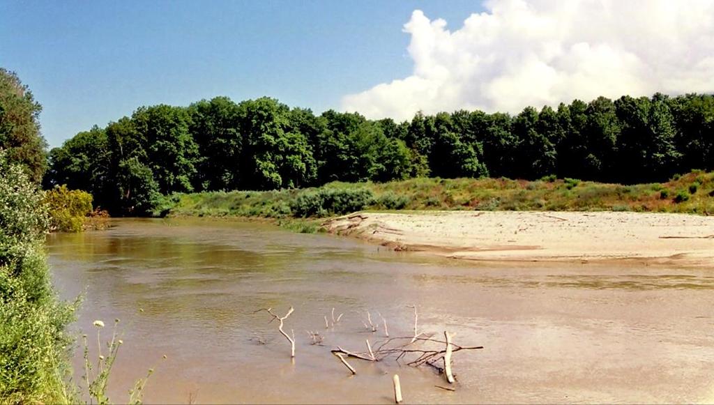 Τα ανωτέρω ενδιαιτήματα δεν καταλαμβάνουν μεγάλες εκτάσεις, αλλά εμφανίζονται κατά μήκος του ποταμού σε στενές λωρίδες εκατέρωθεν της