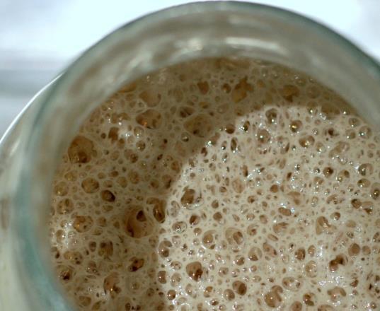 rozmočeného chleba, priemyselne zmesné kváskové kultúry Fermentácia sacharidov v múke