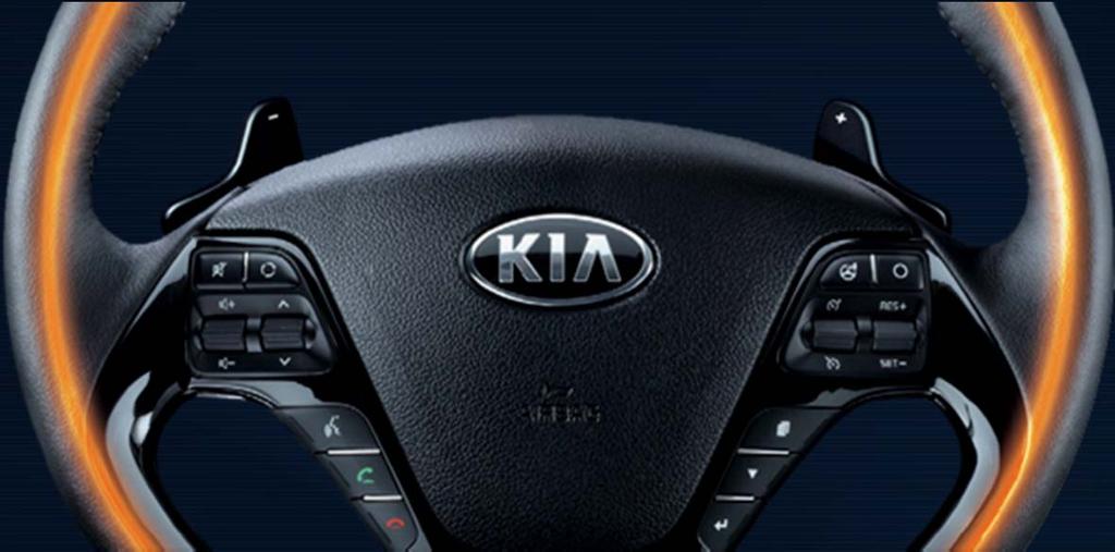 & handsfree Trip computer Sistem multifunctional de comanda Comenzi