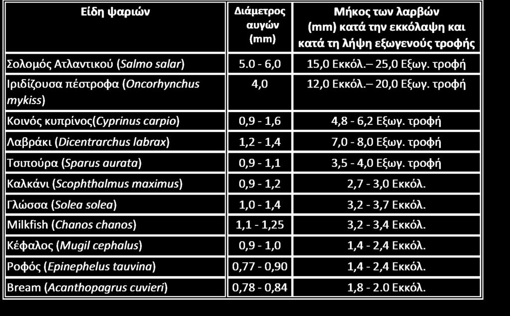 ΜΕΓΕΘΟΣ ΤΟΥΣ και το