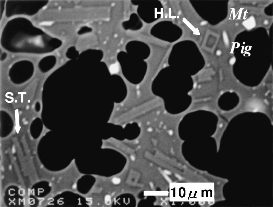 L C and L V vs. L C V denote liquidus. When reservoir magma is water saturated and free from vapor, its melt part locates at Melt.