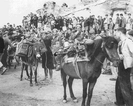 13 ήταν η ομάδα πολυβόλων, η ομάδα όλμων και η ομάδα καταστροφέων αντιαρματικών «Πιατ» 1 και διαβιβάσεων.