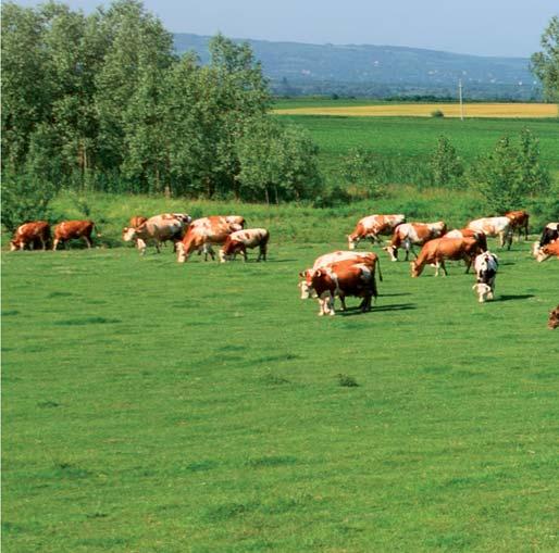 Väčšia produktivita a