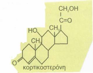 Πηγή: Δημόπουλος Κ.Α., Αντωνοπούλου Σ., (2000) Βασική Βιοχημεία.