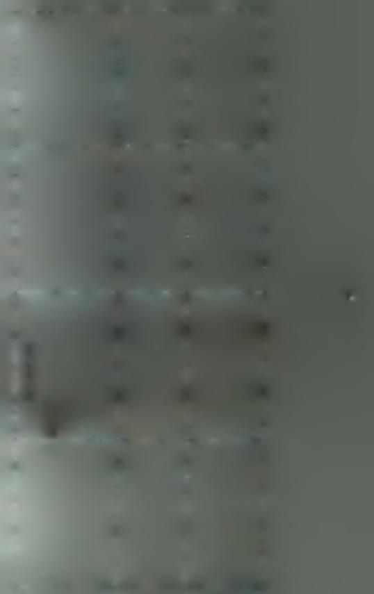 Institutinl