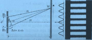 Valët koherente që shkaktohen nga burimet B1 dhe B2 në pikën M të mjedisit elastik, kanë elongacion: y 1 = A sin (ωt 2πx 1 λ ) y 2 = A sin (ωt 2πx 2 λ ) Elongacioni i lëvizjes lëkundëse rezultante në