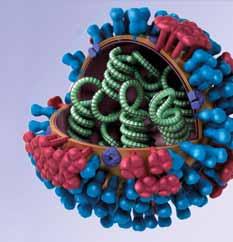 H1N1 očkovanie MUDr. Gabriel Šimko, MPH Hlavný hygienik SR Prasacia chrípka zatiaľ Slovensko obchádza V súčasnej chrípkovej sezóne 2011/2012 (k 12
