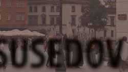 Pri práci jej pomohli aj vedomosti z domovskej školy: Postup a metodika práce pri syntéze nového liečiva je na Slovensku a v Poľsku v podstate identická.