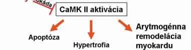 Apoptóza, známa aj ako programovaná bunková smrť, predstavuje jeden z evolučných, geneticky riadených mechanizmov bunkovej smrti.
