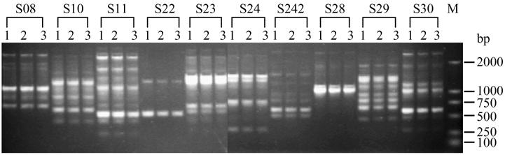 3 373 3 48 F328 12 27% χ 2 25% Lentinula edodes Pleurotus ostreatus 25% 2.4.2 F2153F5 F328 3 3 2 7d 12d 27 PDA 4d 2.5 2.5.1 F5 10 15d PDA 7d F328 10 F328 3 4 14d 48 15 PDA 6d 33 2.