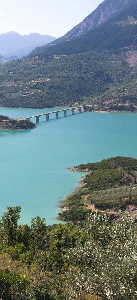Στον Τομέα του Πολιτισμού έχει σχεδόν ολοκληρωθεί ένα πολυετές πρόγραμμα για τον εκσυγχρονισμό των Αρχαιολογικών Μουσείων Θήβας, Χαιρώνειας, Σχηματαρίου, Δελφών, Υπάτης και Ερέτριας, στα οποία