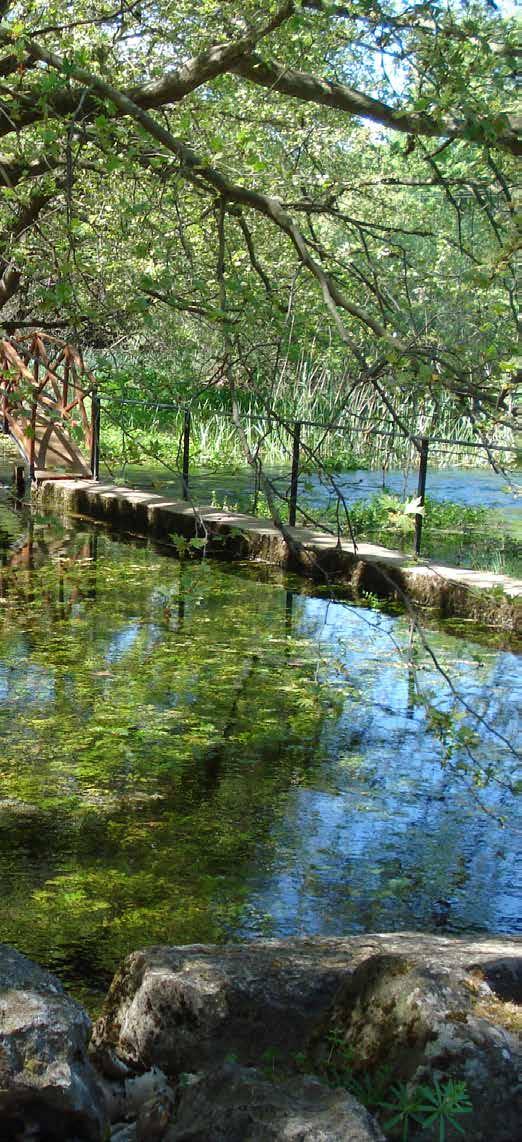της Περιφέρειας, σε ένα ενιαίο σχήμα φυσικής και ψηφιακής ενότητας, καθώς παράλληλα παρακινεί και ενθαρρύνει τη συμμετοχή του επιχειρηματικού κόσμου της Περιφέρειας Στερεάς Ελλάδας.
