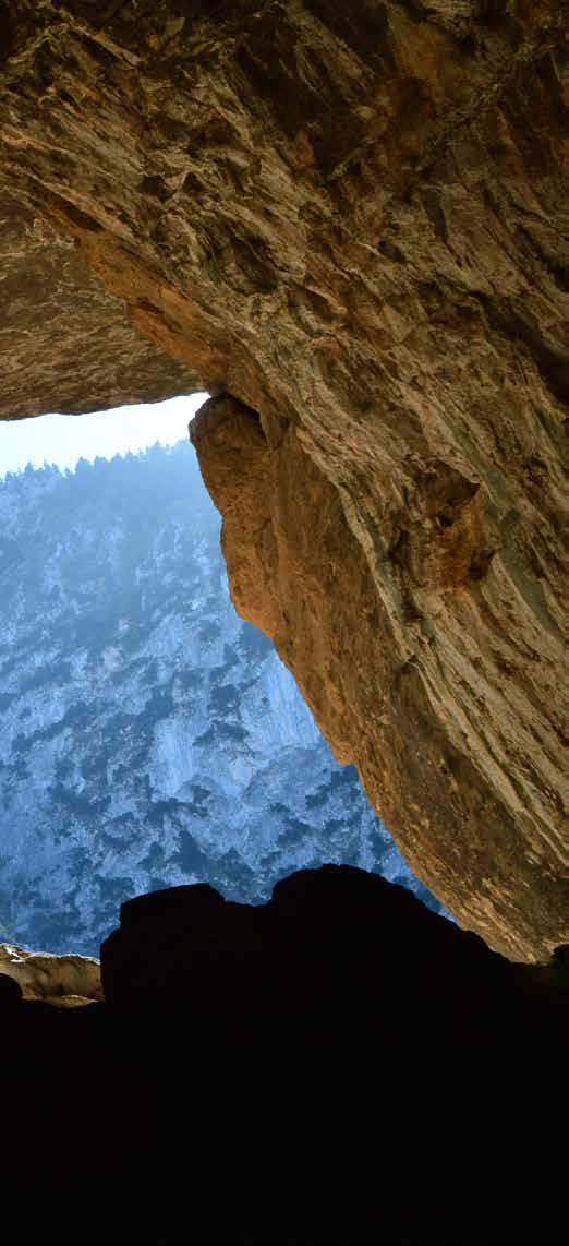 Π.Α. 2014-2020 8 4. Η Περιφέρεια της Στερεάς Ελλάδας 10 5.