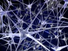 Νευρωνικά δίκτυα (τεχνιτά) Τα νευρωνικά δίκτυα ή µοντέλα της παράλληλης κατανεµηµένης επεξεργασίας αναπαριστούν πληροφορίες χωρίς τη χρήση διακριτών συµβόλων (όπως συµβαίνει στις προτασιακές
