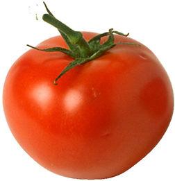 (Lycopersicon esculentum), raw,nutrition value per 100 g.