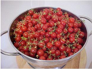Rot)