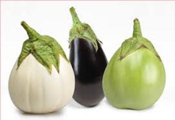 النباتات حجمھا الطبيعي.