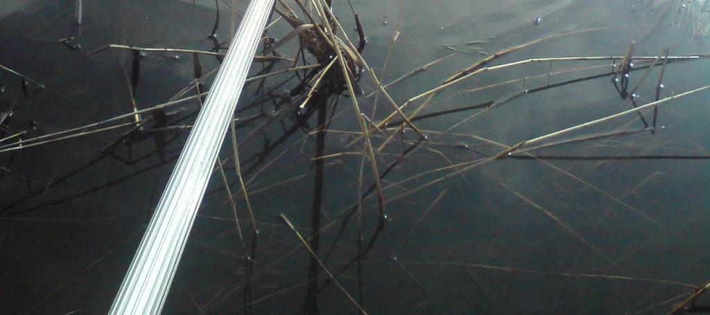 Üle määramispiiri heited tunduvad olevat pistelised ning sõltuvad ilmselt ilmastiku tingimustest või ettevõtte töötsüklist.