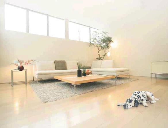 TecTem 06/2013 Izolaţii interioare? Desigur, în mod natural!
