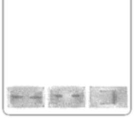 magnetického poľa; silný tyčový neodýmiový magnet, 10x38 mm, v priehľadnom kardanovom uložení, na kovovej stopke 2 P3410-2C Sonda magnetického poľa - ŽP