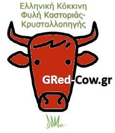 Οίκος ΖΗΤΗ Ελληνική Κόκκινη