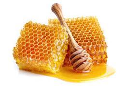 Ορισμός «μέλι είναι το γλυκό προϊόν το οποίο παράγουν οι μέλισσες του γένους Apis καθώς αυτές συλλέγουν, μετατρέπουν και αποθηκεύουν