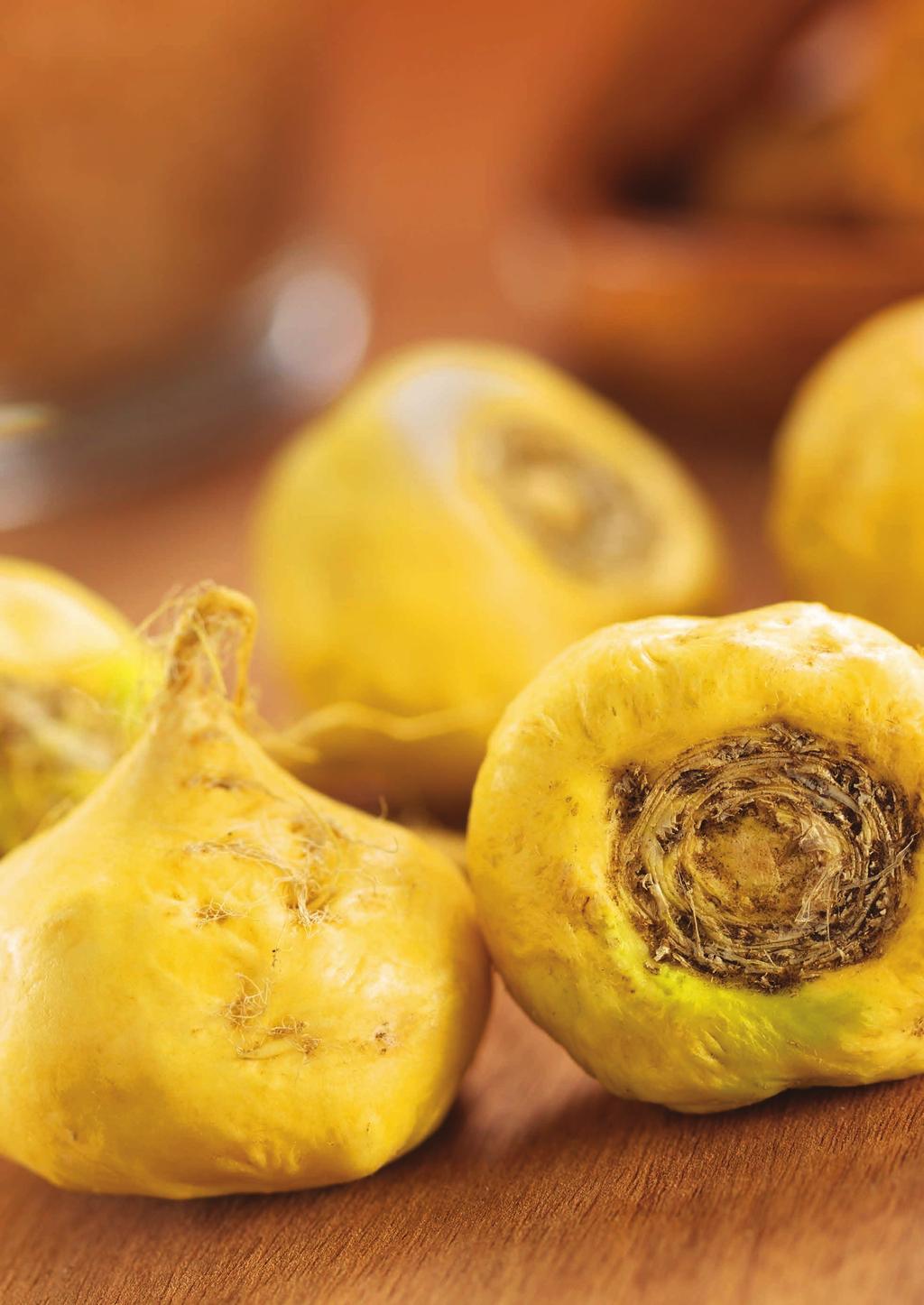 Doplňme si fyzické aj duševné sily, nech nás jeseň neunaví S ORGANIC MACA JE TO HRAČKA Koreň rastliny maca užívali od pradávnych čias Inkovia ako životabudič.