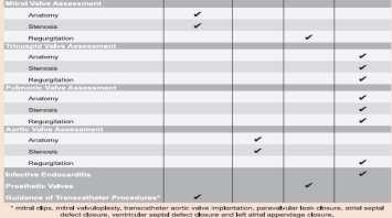 διαδερμικών επεμβάσεων EAE/ASE Recommendations for Image Acquisition and Display Using