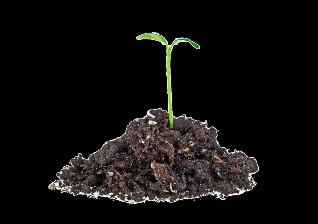 Valoya Od roku 2009 sme sa zaviazali k vytváraniu najlepších LED GROW svetiel na trhu.