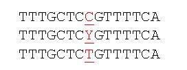 Ανθρώπινες γενετικές διαφοροποιήσεις (Single Nucleotide Polymorphisms) Οδηγούν στη γενετική μοναδικότητα κάθε ανθρώπου