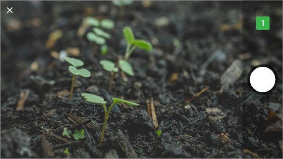 εφαρμογή GROW για την καταγραφή