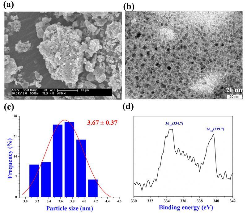 Figure S25: (a) SEM, (b) TEM, (c) particle size distribution and (d) XPS