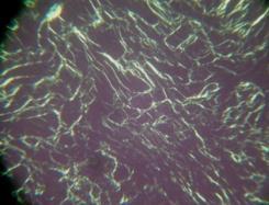 1. Additional textures of LC phases