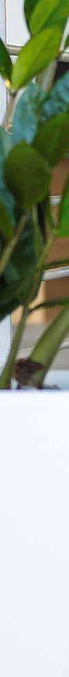 D W H B ARG 23 23 23 27 19 11 S 19 ARG 30 30