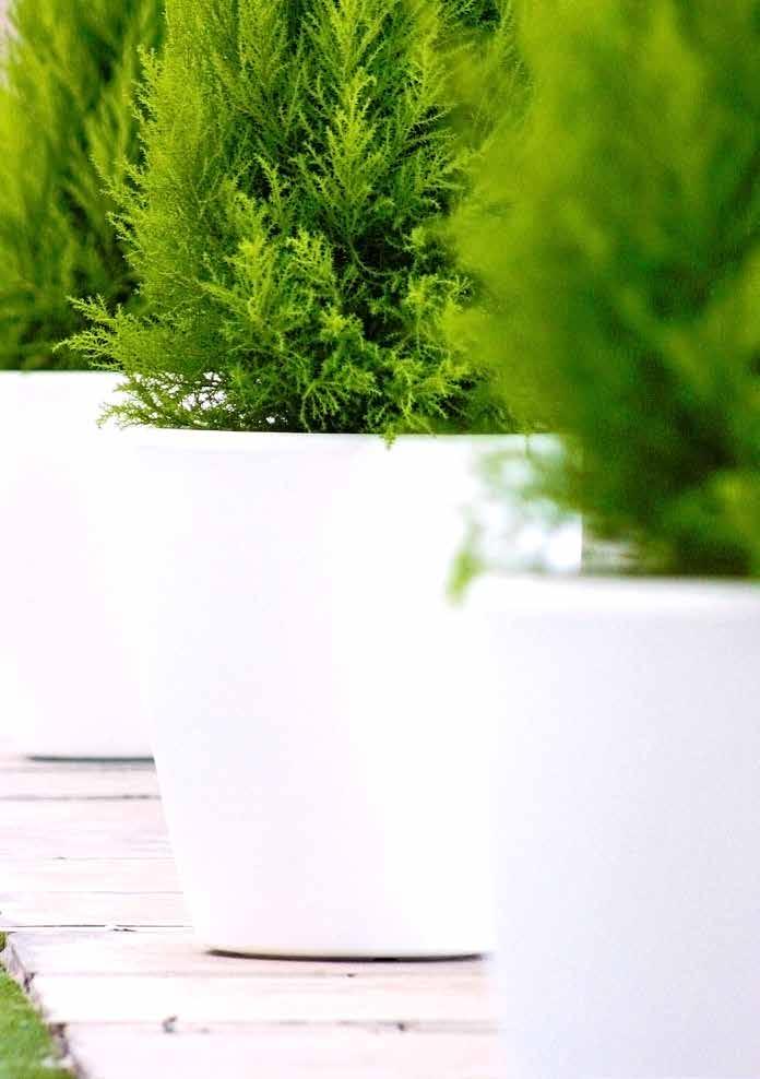 Eco-friendly We select our materials with major concern for your health and ours.