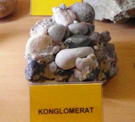 1.2.8 Konglomerat Konglomerat je sedimentna kamnina, sestavljena iz prodnikov različne velikosti. Po videzu je različnih barv, grobozrnat in kompakten.