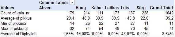 tutvuda/meenutada mõningaid PivotTable