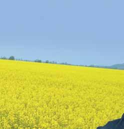 Svojou prispôsobivosťou je Ontario neprekonateľné.