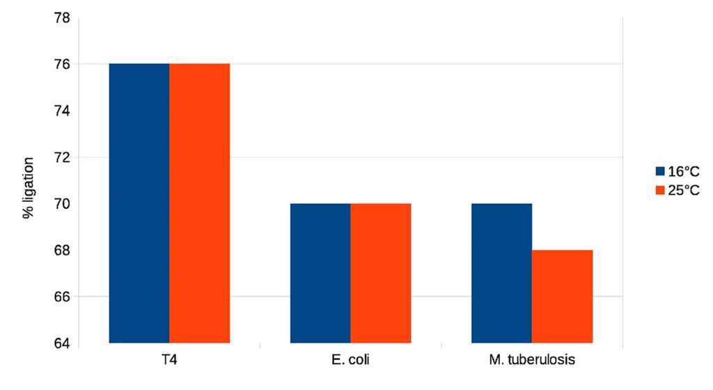 DNA (40-bp) ligation efficiency at