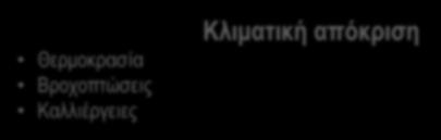 γης/λευκάυγεια Έμμεση ενδυνάμωση από ακτινοβολία Κλιματική απόκριση