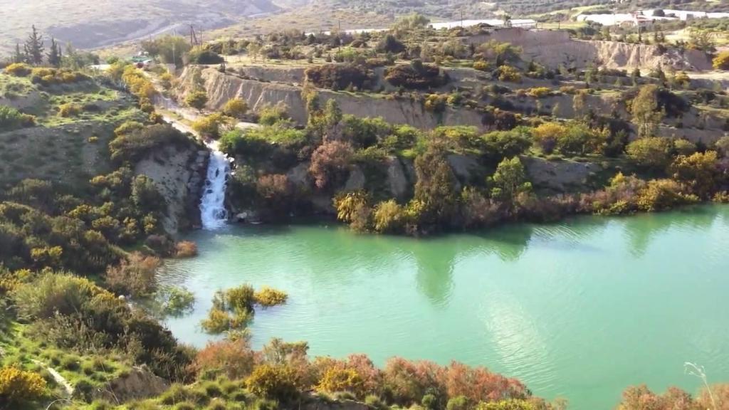 Γφρω από τον υγρότοπο υπάρχουν πεφκα, κυπαρίςςια, λεφκεσ, πλατάνια και αρμυρίκια.