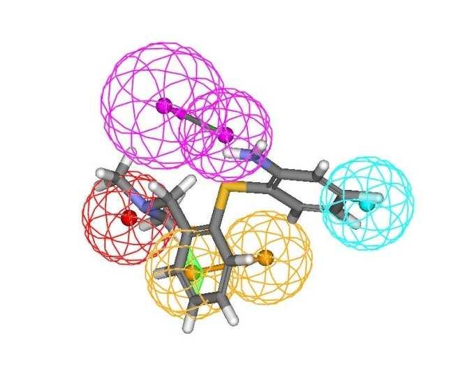 positive ionisable feature;