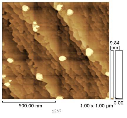 observed by AFM : (a) Nitridation under