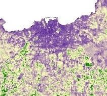 Εικόνα 58 Εικόνα 59 Εικόνα 60 Χανιά 1986 Χανιά 2010 Χανιά 2016 ΧΑΡΤΕΣ ΔΕΙΚΤΩΝ ΑΛΑΤΟΤΗΤΑΣ Στους δείκτες αλατότητας οι περιοχές με τα
