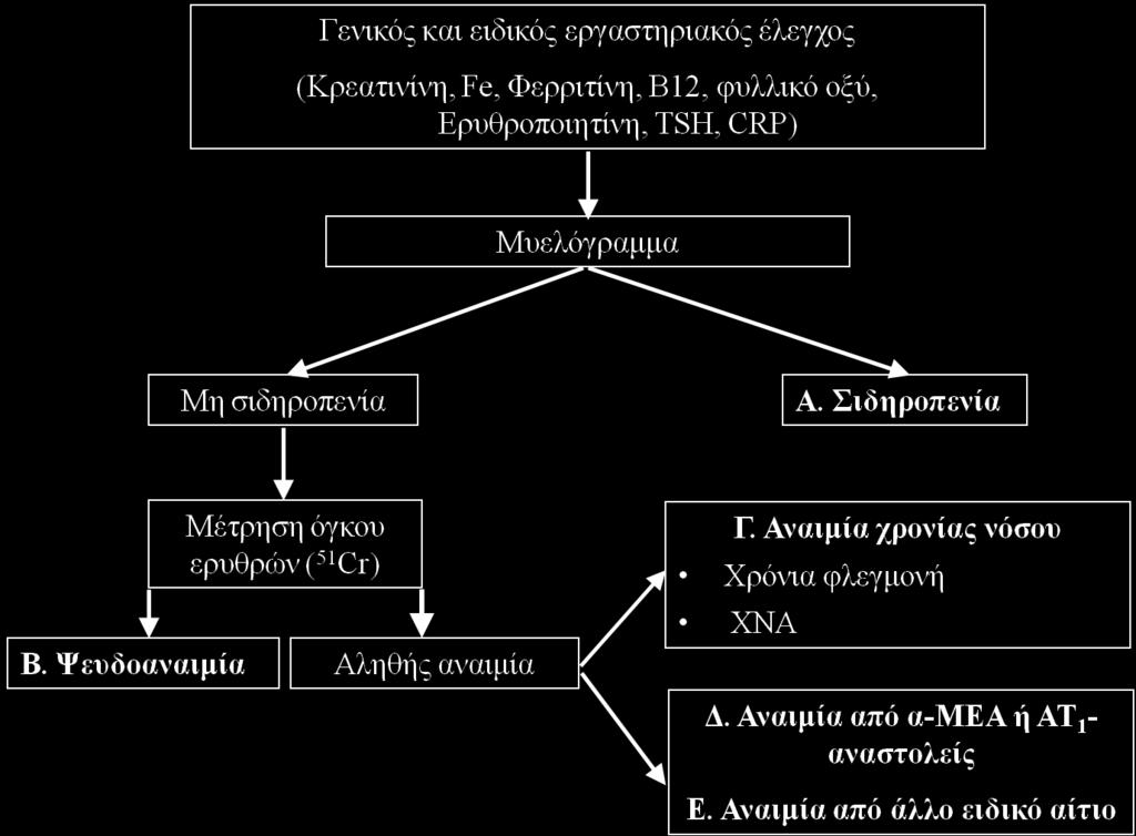 Εικόνα 2. Αλγόριθμος διαγνωστικής διερεύνησης της αναιμίας στην τελικού σταδίου χρόνια καρδιακή ανεπάρκεια και πιθανές διαγνώσεις (Α-Ε).