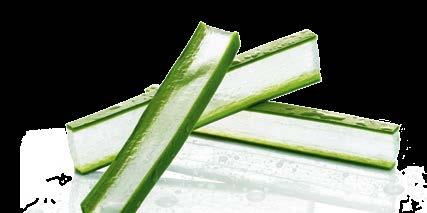 υποστήριξης για την επιτυχία σας LR ALOE VIA MOMENTS ΠΩΣ ΛΕΙΤΟΥΡΓΕΙ ΠΕΝΤΕ ΑΠΛΑ ΒΗΜΑΤΑ ΠΡΟΣ ΤΗΝ ΕΠΙΤΥΧΙΑ 1.