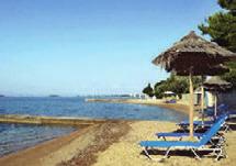 διάρκεια των φαγητών Ζωντανή µουσική µία φορά την εβδοµάδα ωρεάν ξαπλώστρες στη
