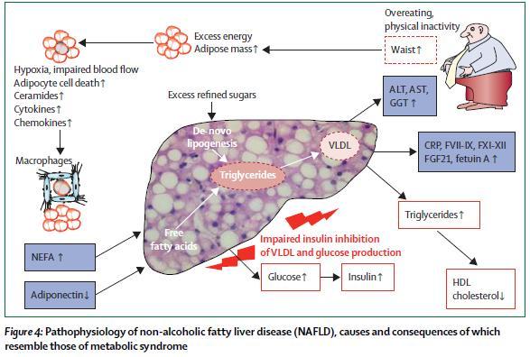 The spectrum of diseases predicted by