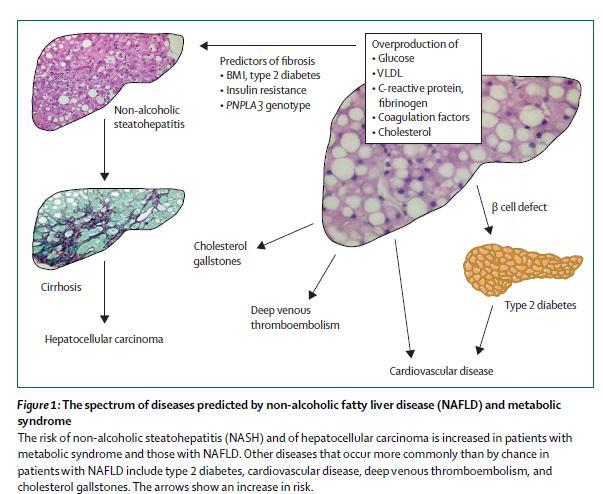 The spectrum of diseases predicted by